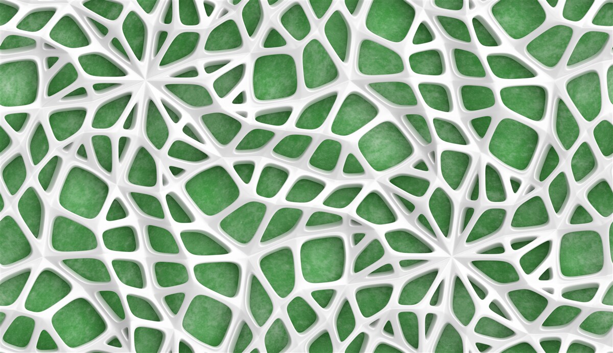 Papier peint sur un fond vert, une grande toile d'araignée blanche