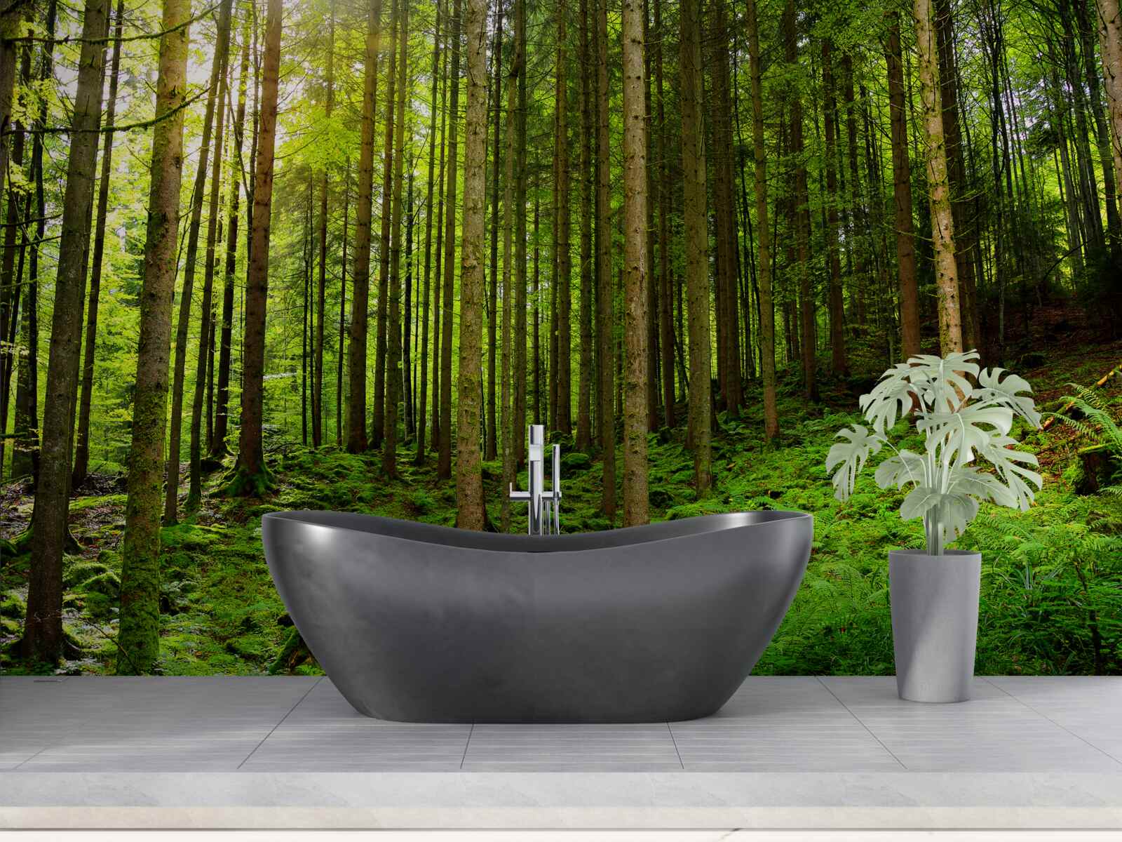 Papier peint les rayons du soleil pénètrent dans la forêt