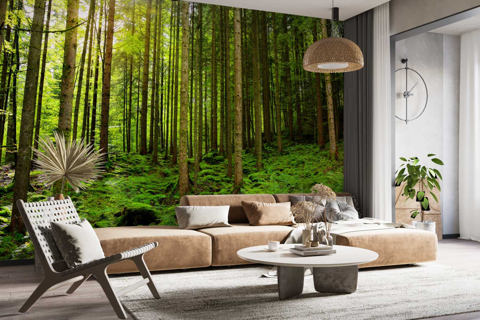 Papier peint les rayons du soleil pénètrent dans la forêt