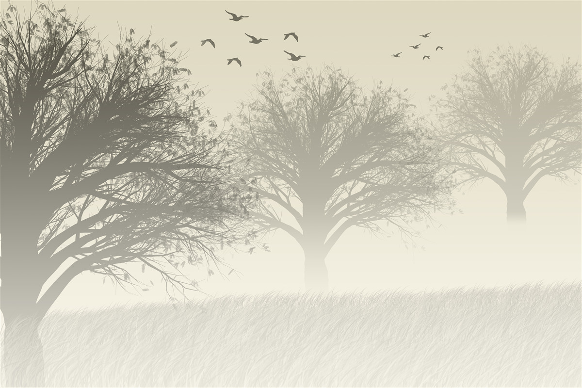 Papier peint les oiseaux s'envolent pour l'hiver