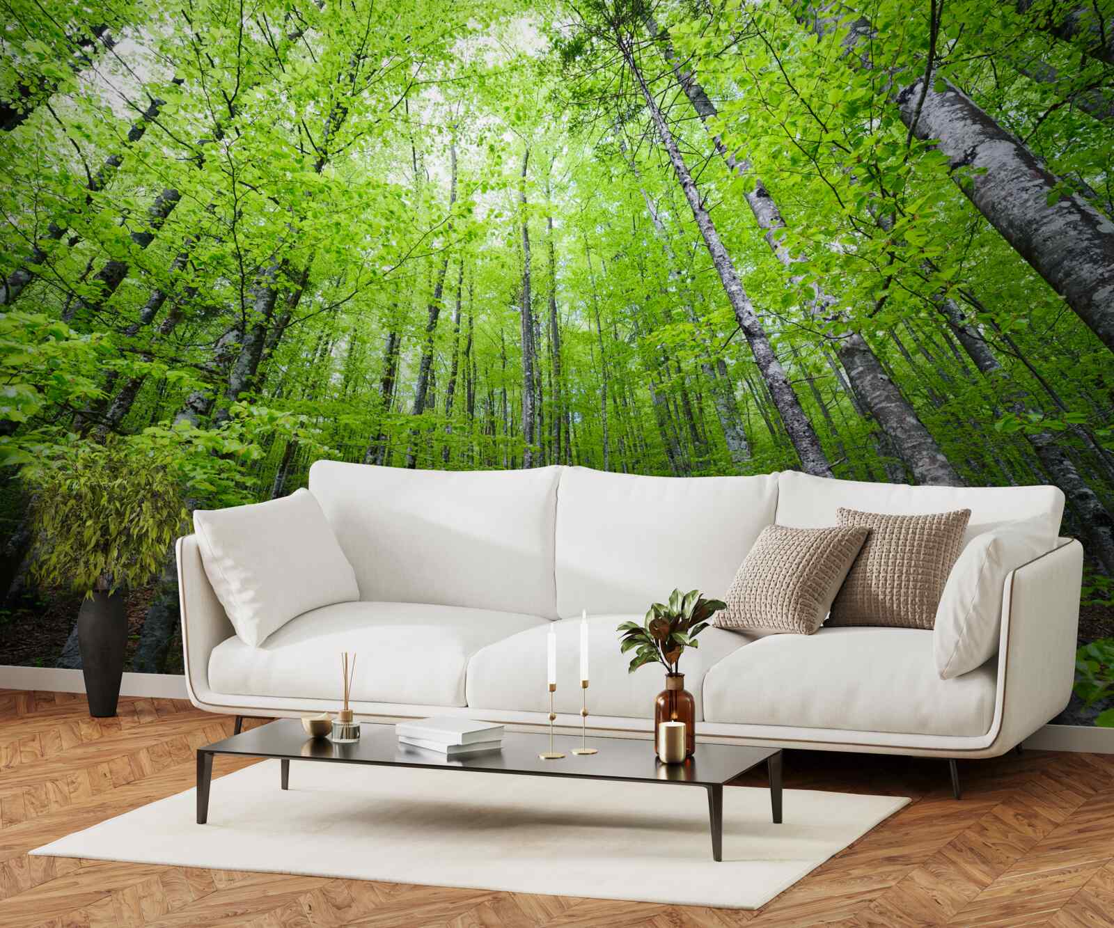 Papier peint les couronnes vertes des arbres de la forêt brillent de mille feux