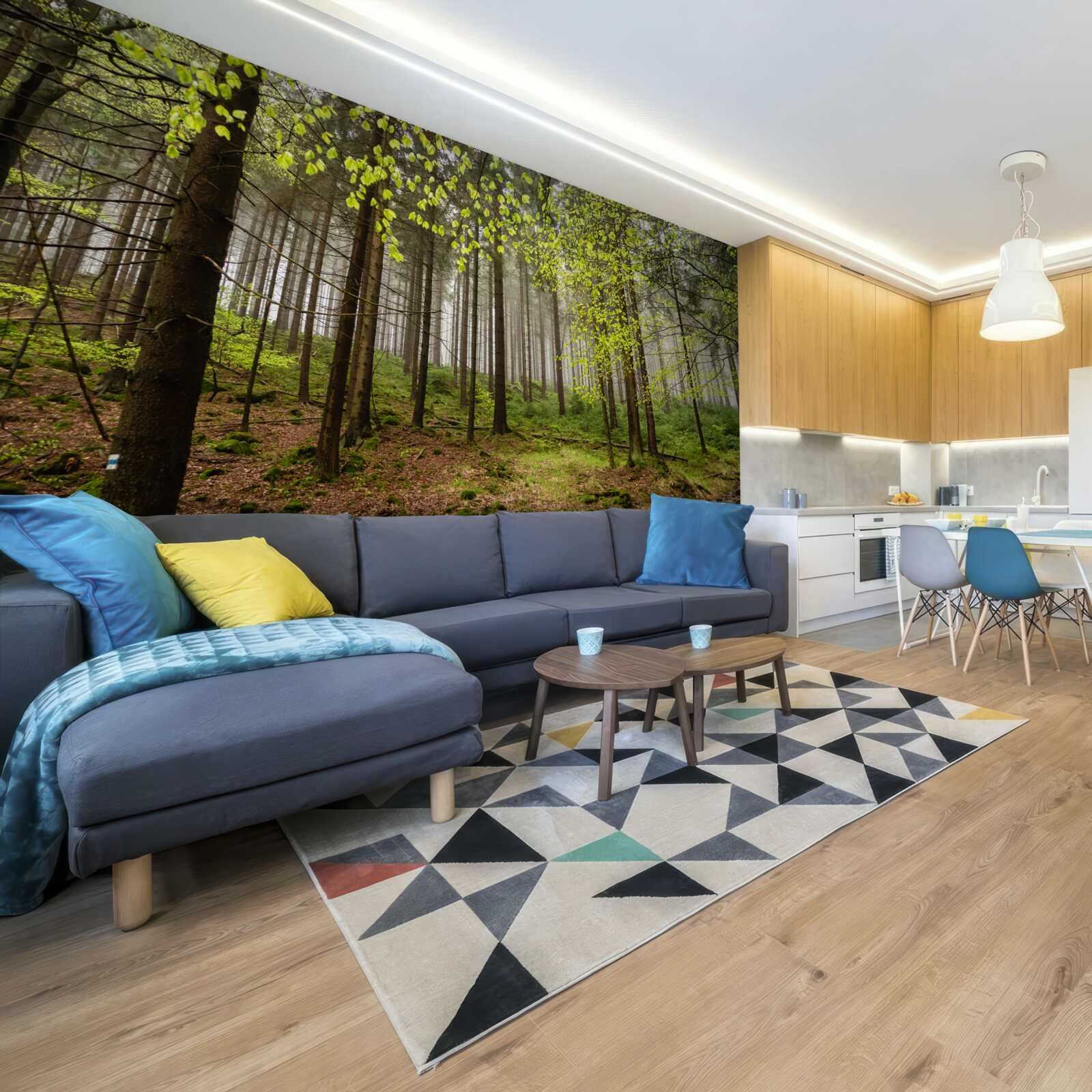 Papier peint forêt verte après la pluie