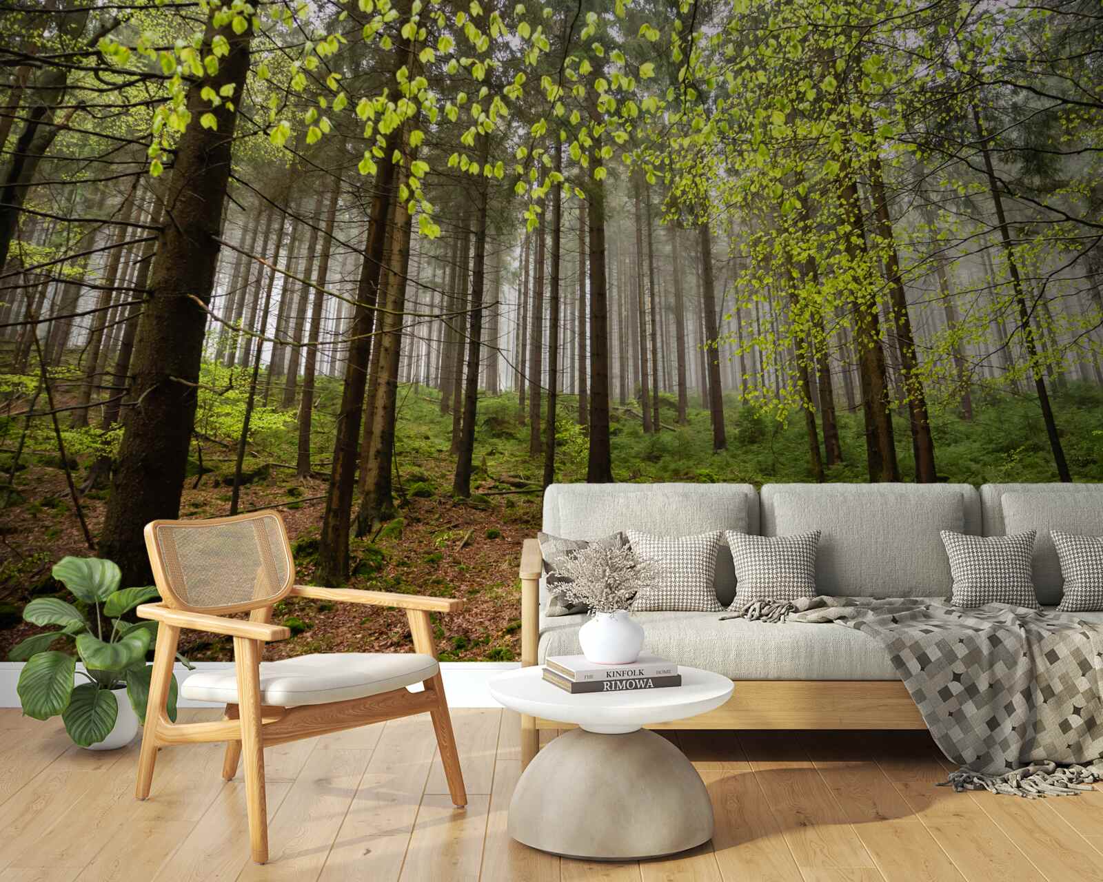 Papier peint forêt verte après la pluie