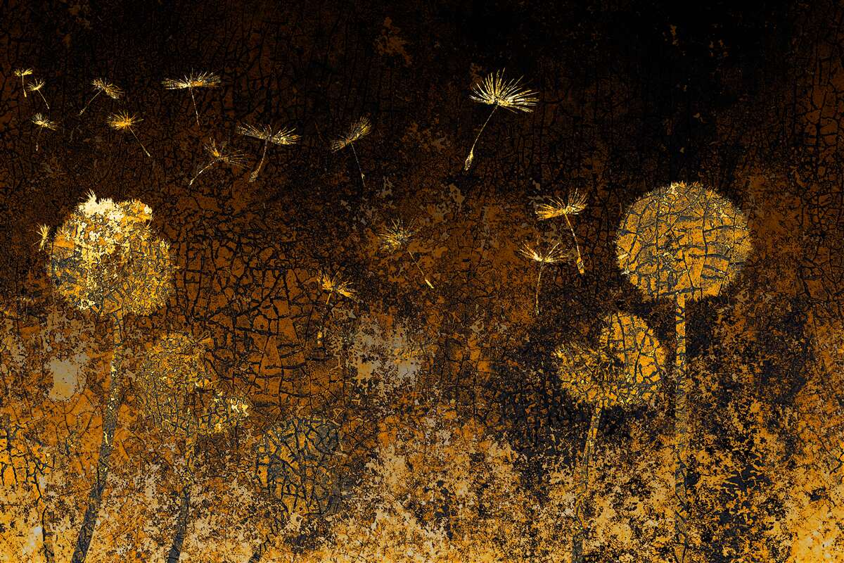 Papier peint la nuit, le vent fait osciller les pissenlits