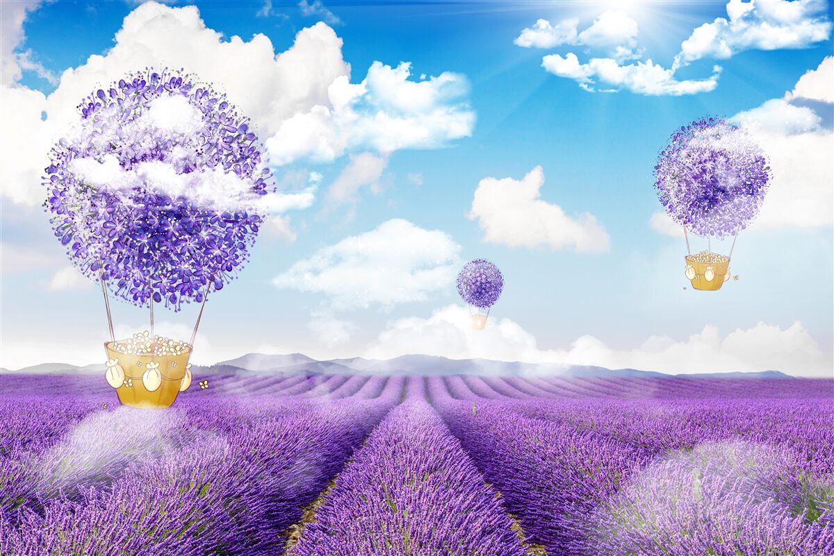 Papier peint plantation de lavande et ballons