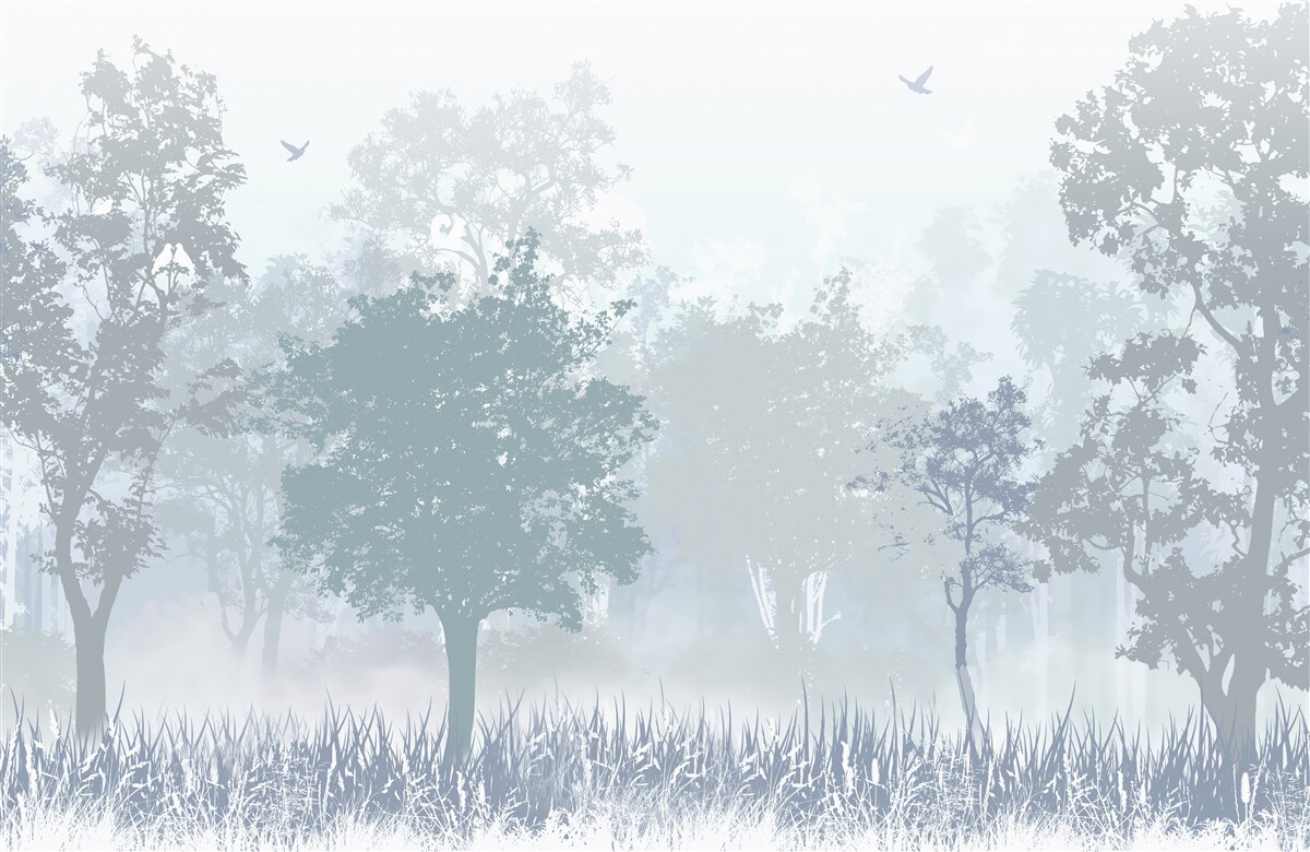 Papier peint forêt matinale enveloppée de brume