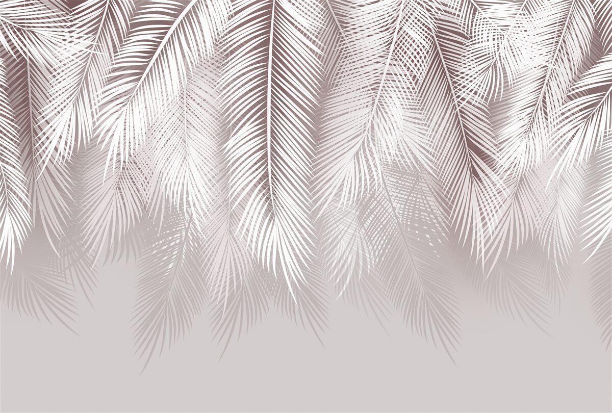 Papier peint Des plumes blanches comme la neige qui descendent lentement