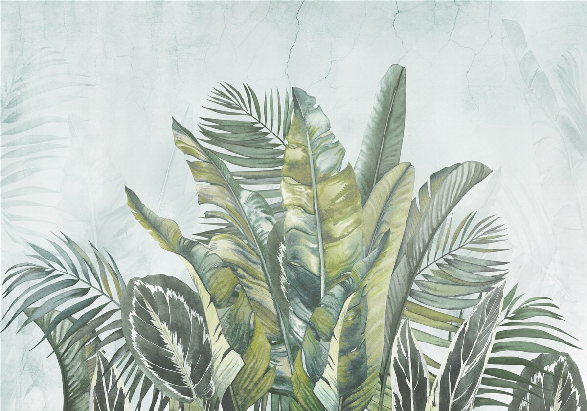 Papier peint bosquet vert de végétation tropicale