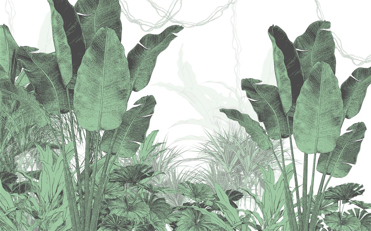 Papier peint grandes feuilles tropicales de taille considérable