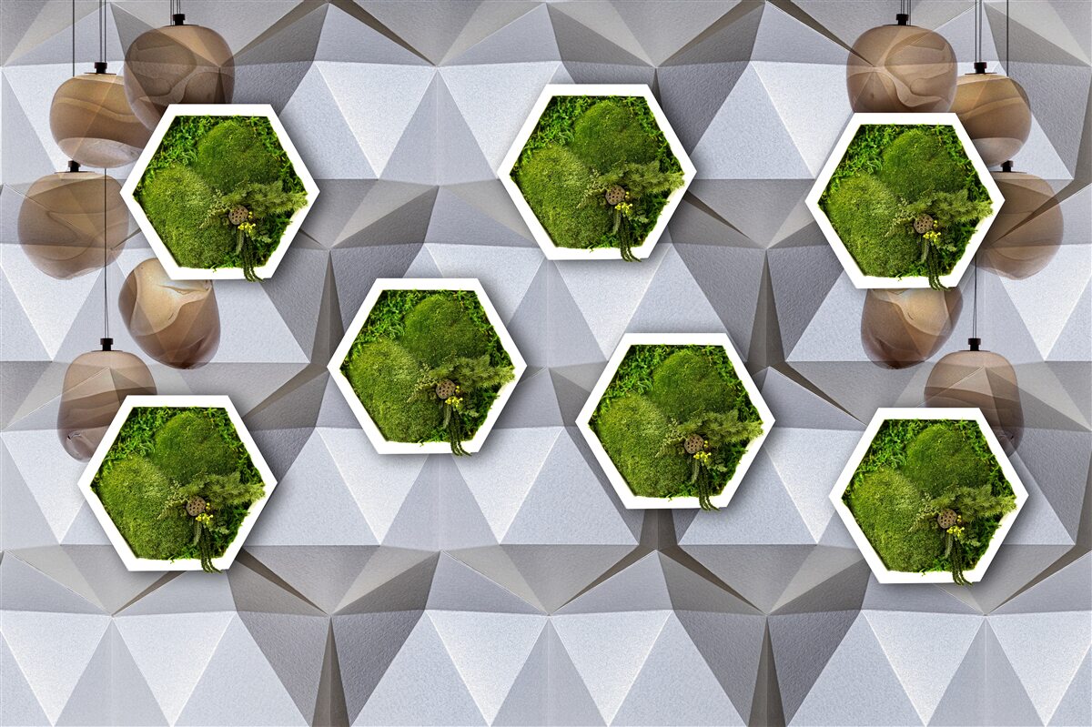 Papier peint plantes en forme de pentagone