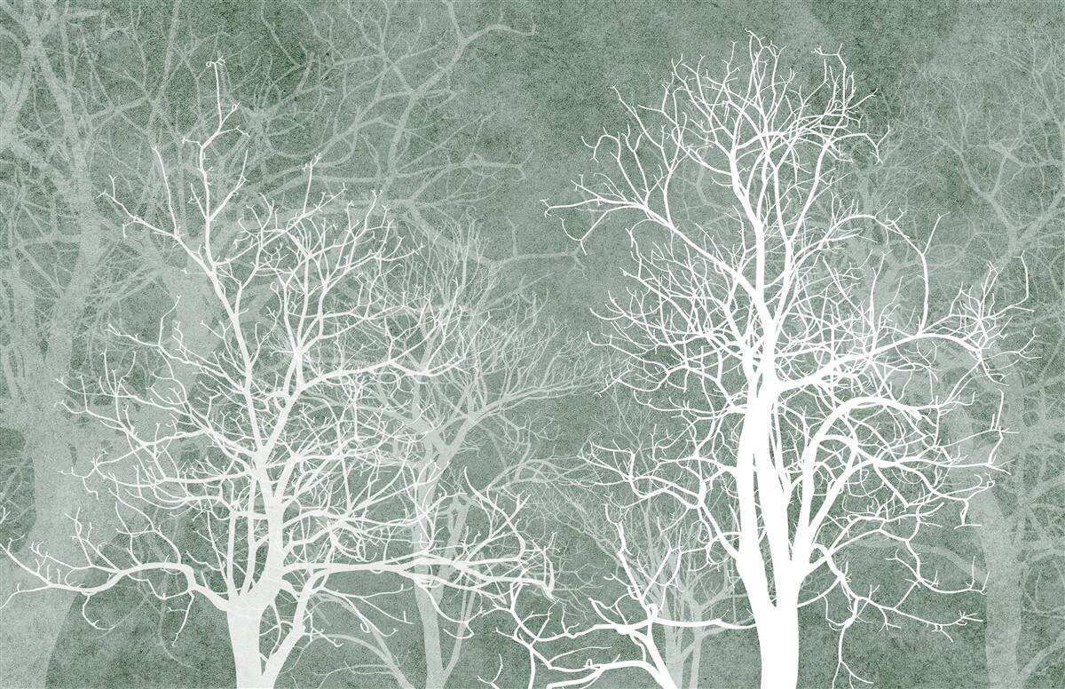 Papier peint arbres dans un décor blanc comme neige sur fond de ciel nocturne