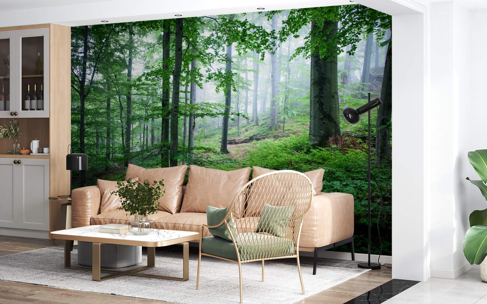 Papier peint le brouillard s'abat sur le bosquet de la forêt