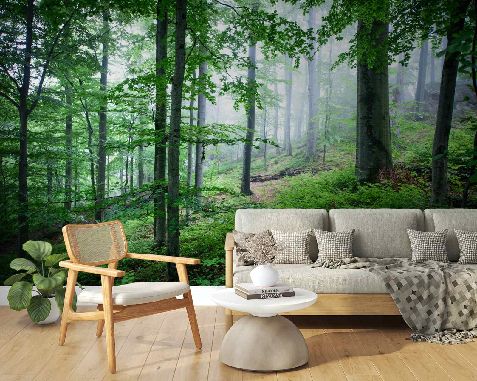 Papier peint le brouillard s'abat sur le bosquet de la forêt