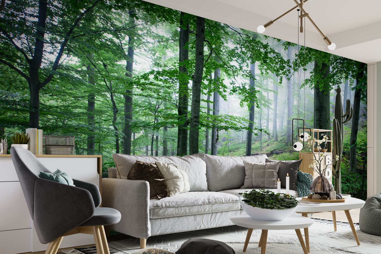 Papier peint le brouillard s'abat sur le bosquet de la forêt