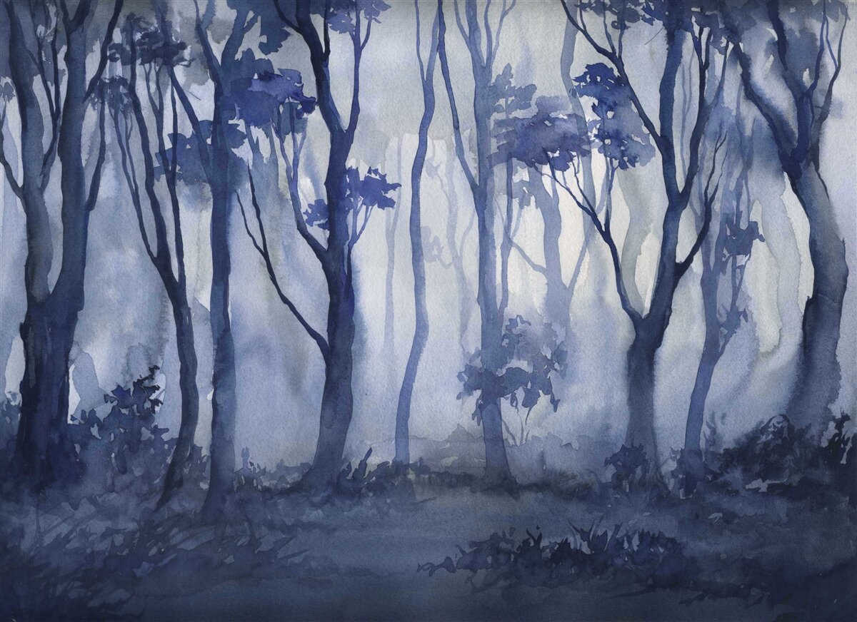 Papier peint brouillard épais au cœur de la forêt