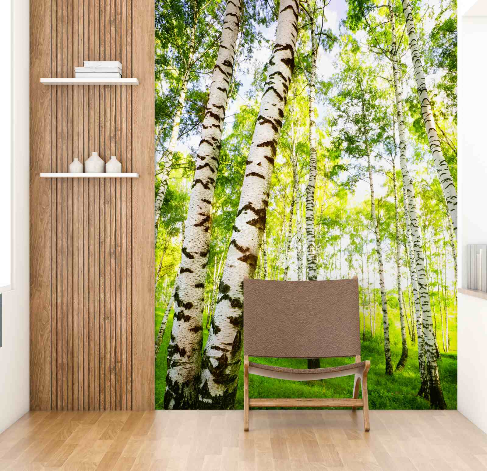 Papier peint un bosquet estival de bouleaux élancés