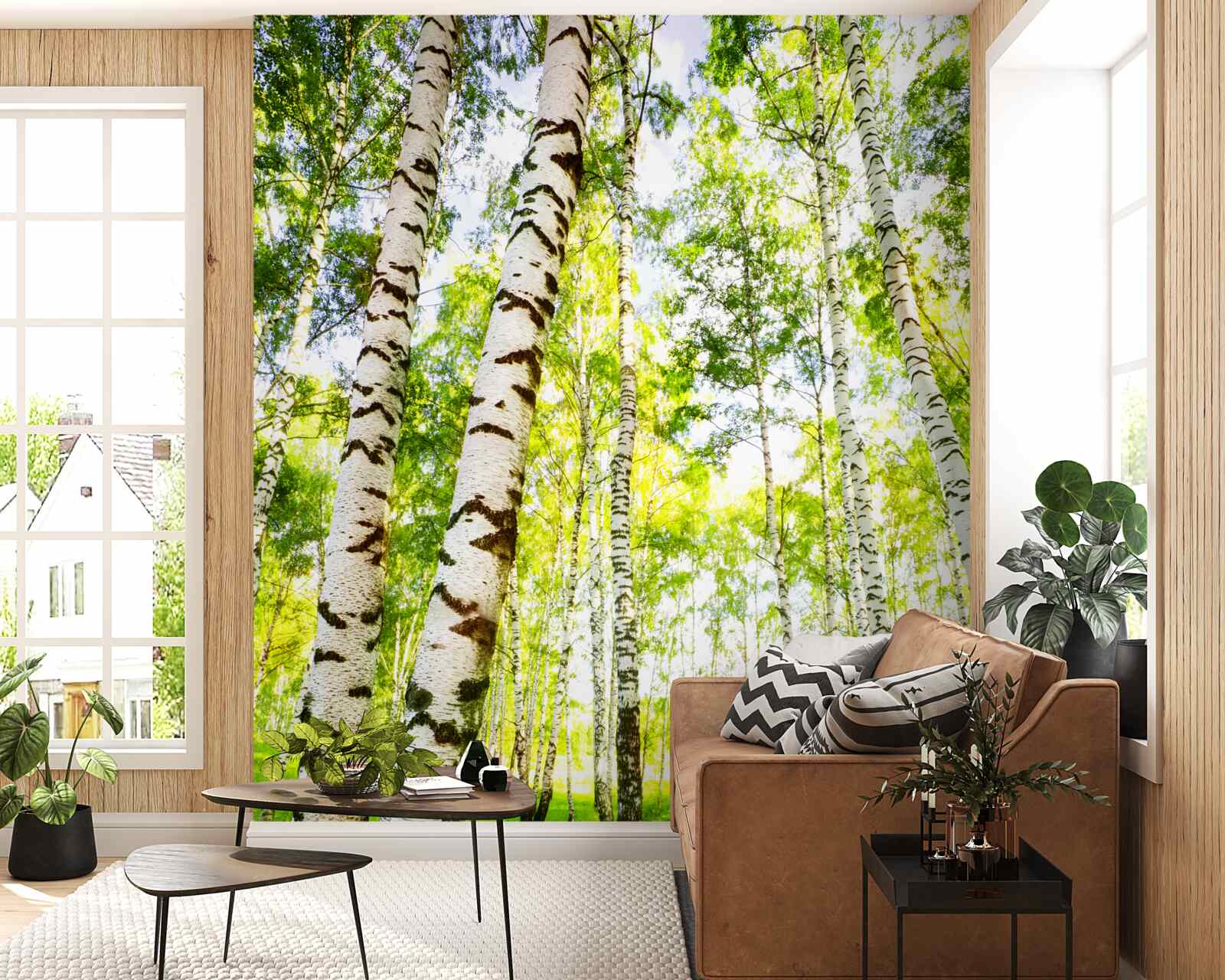 Papier peint un bosquet estival de bouleaux élancés