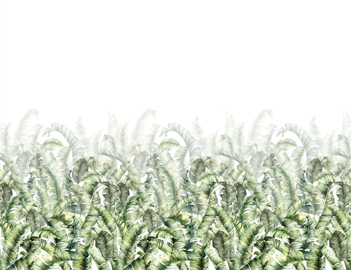 Papier peint fougère blanche dense et brume