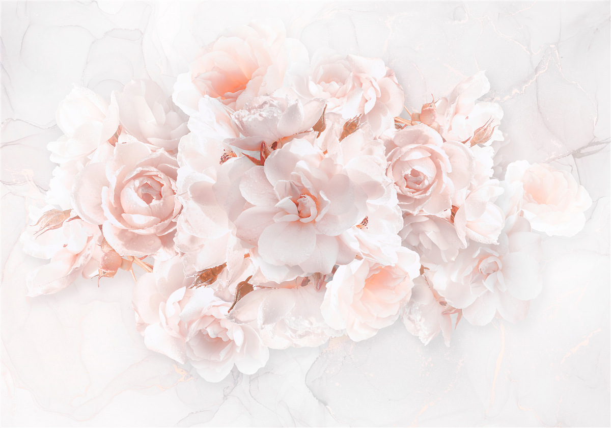 Papier peint composition de pivoines exquises