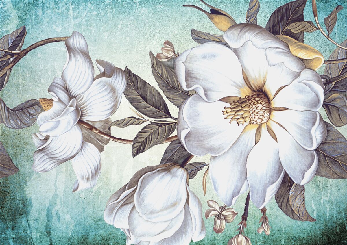 Papier peint des fleurs blanches comme la neige s'épanouissent