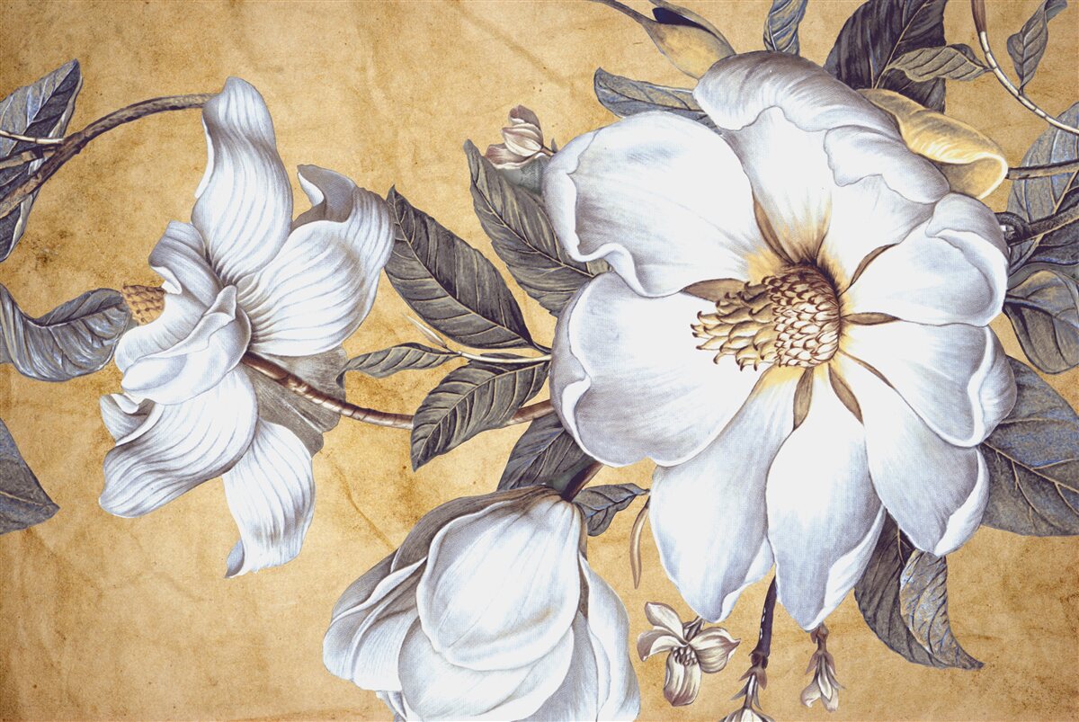 Papier peint bourgeons blancs en fleur sur les branches