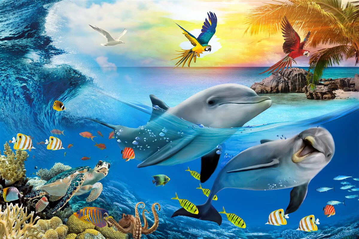 Papier peint L'aube attend les dauphins