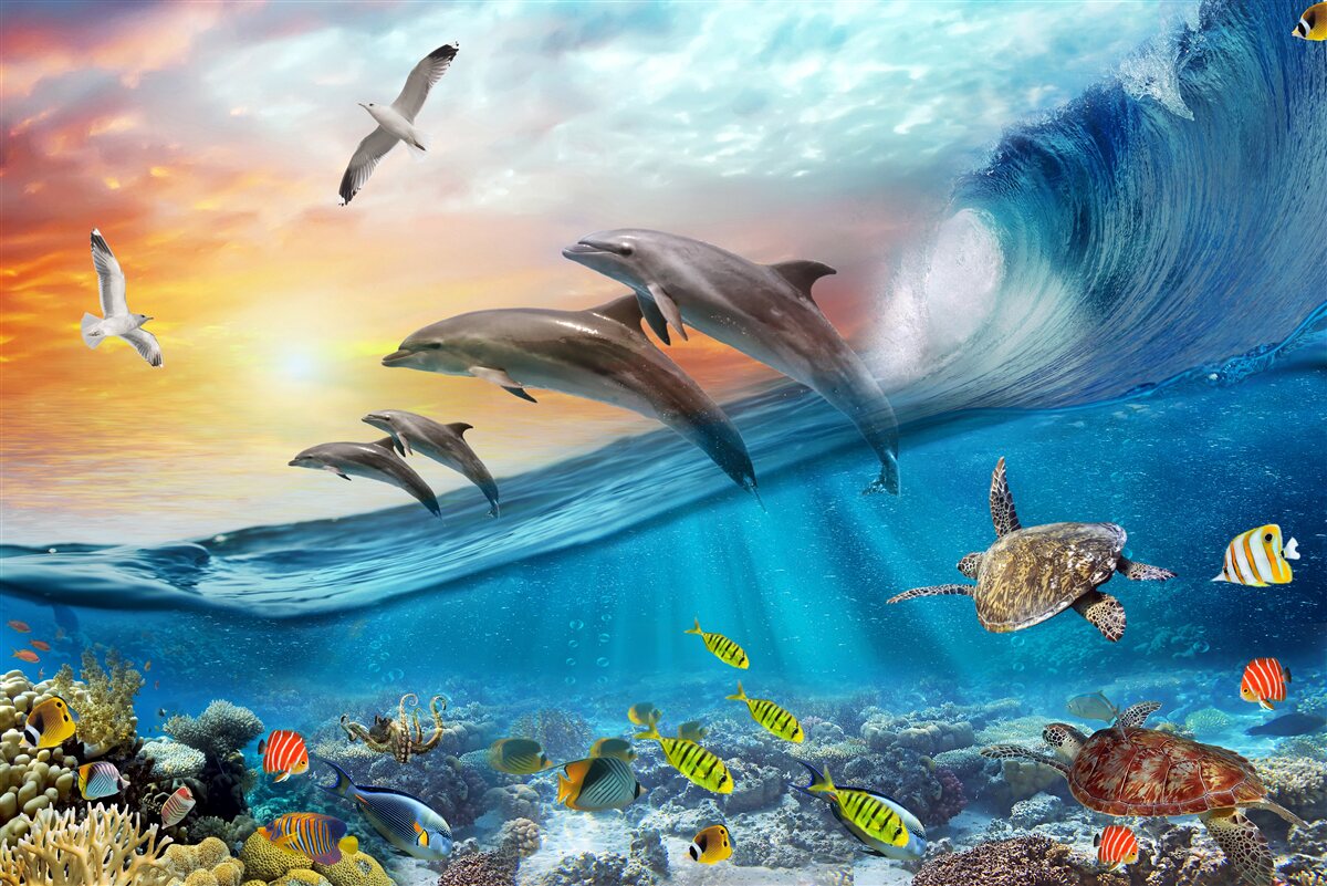 Papier peint les dauphins bondissent hors des vagues