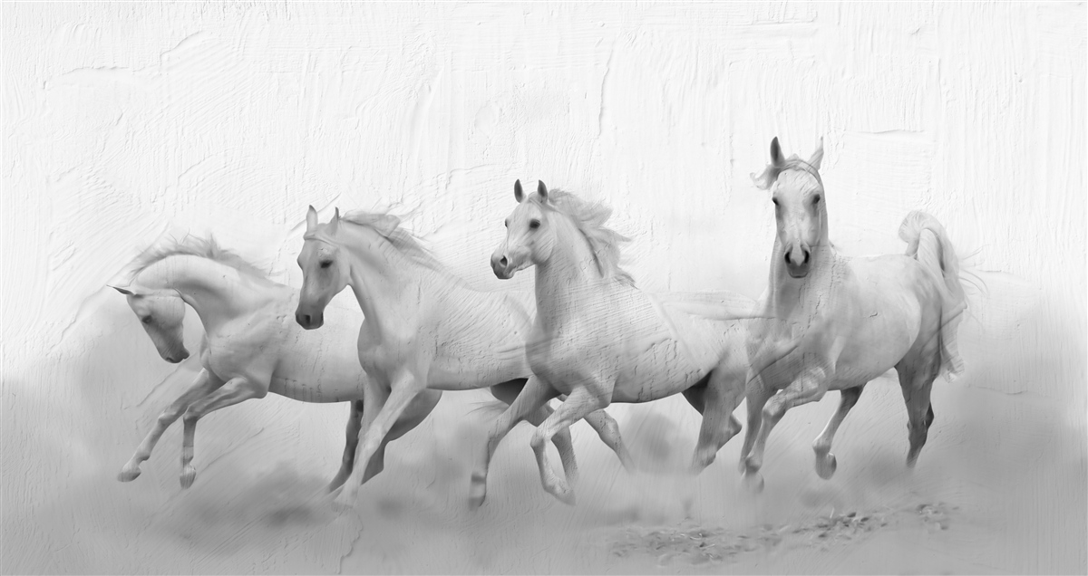 Papier peint groupe de chevaux