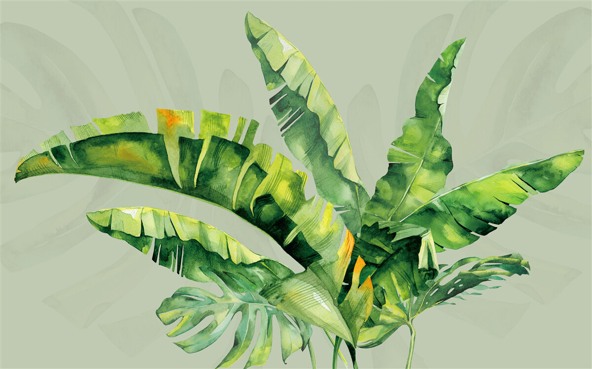Papier peint monstera et fougère verte