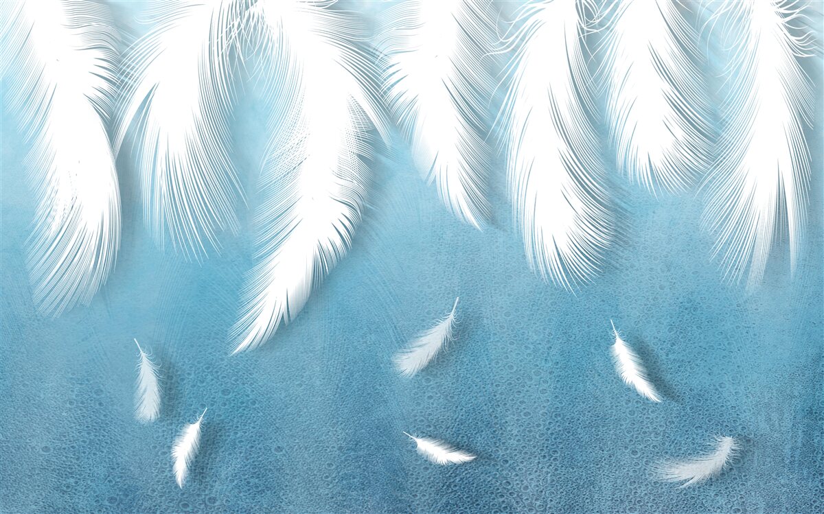 Papier peint plumes blanches tombant dans le ciel bleu