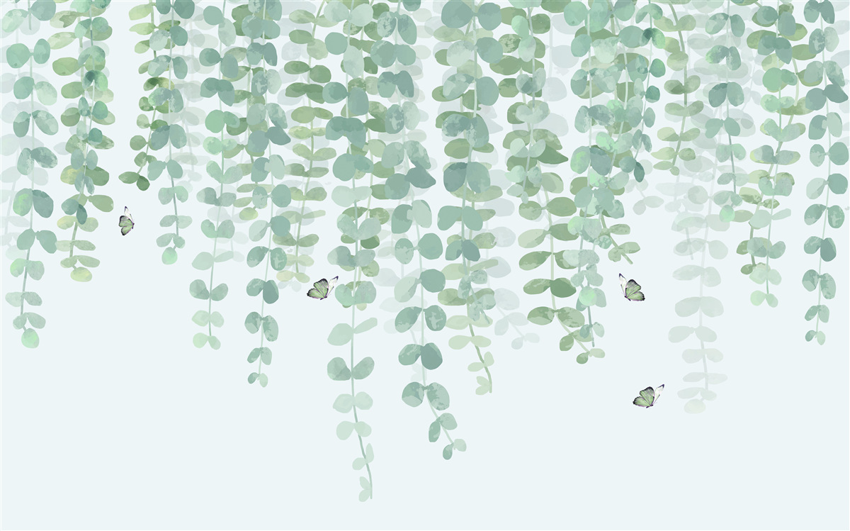 Papier peint les feuilles d'eucalyptus sont vertes