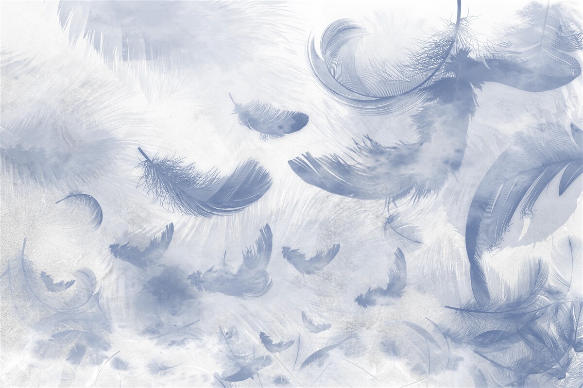 Papier peint plumes volantes du ciel