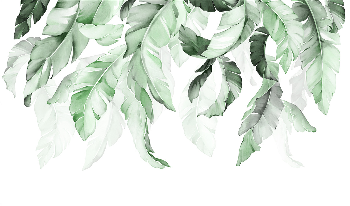 Papier peint les feuilles de fougère pendent