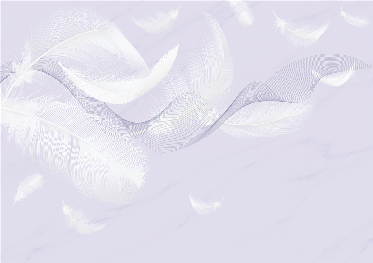 Papier peint Plumes blanches comme neige et aériennes