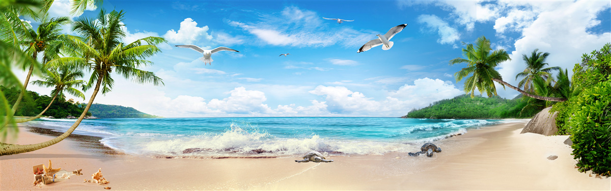 Papier peint paysage côtier sous les tropiques