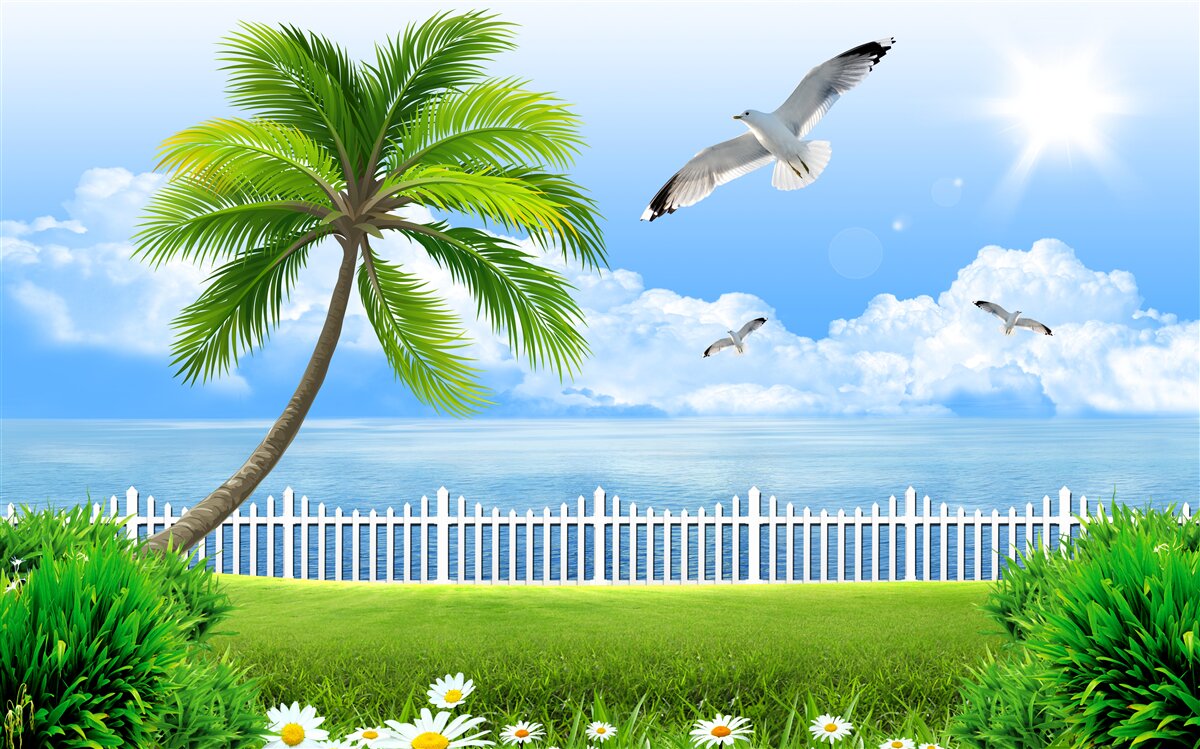 Papier peint journée ensoleillée près de la côte