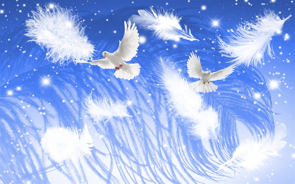 Papier peint se déplaçant dans l'atmosphère des oiseaux brillants et de leur plumage