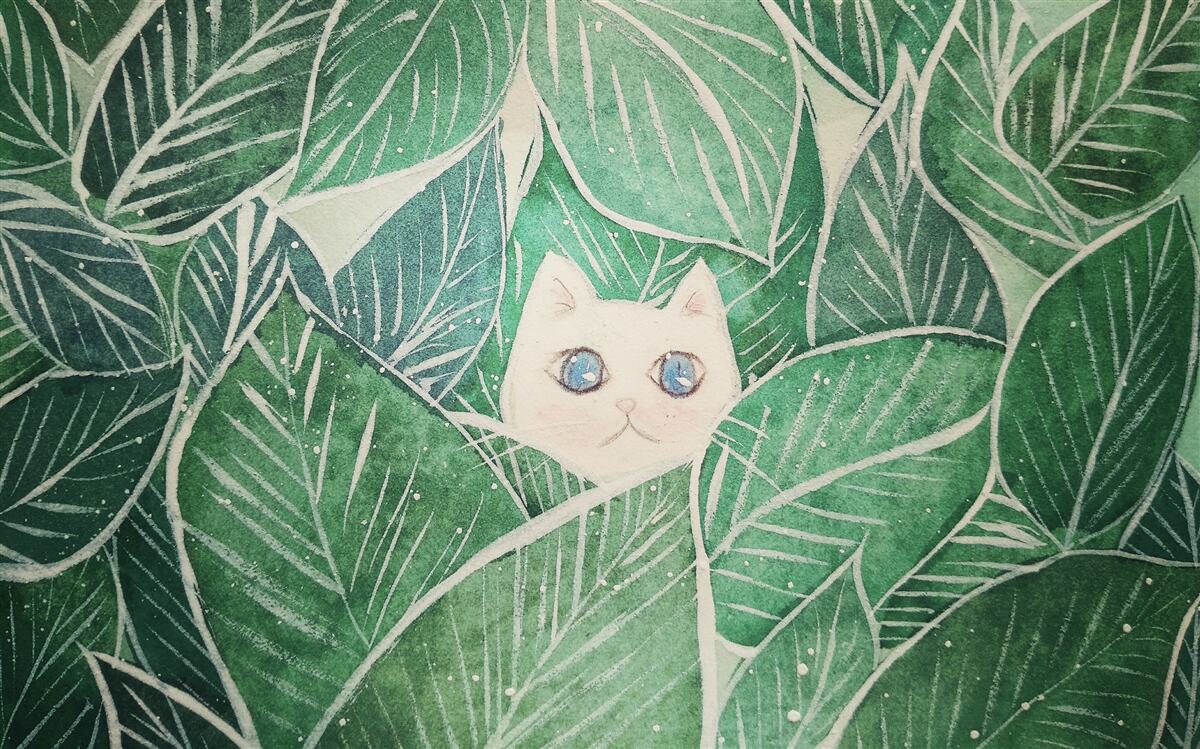 Papier peint un petit chat perdu dans les feuilles vertes