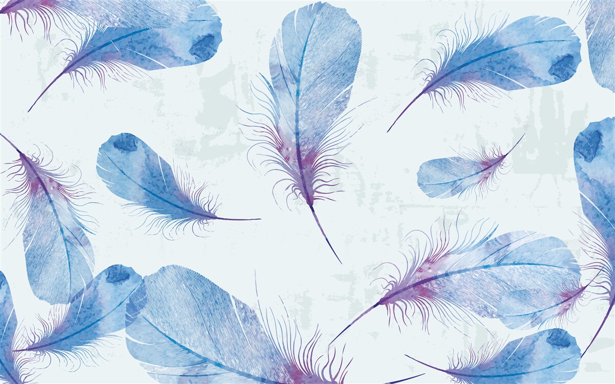 Papier peint plumes bleues sur fond blanc