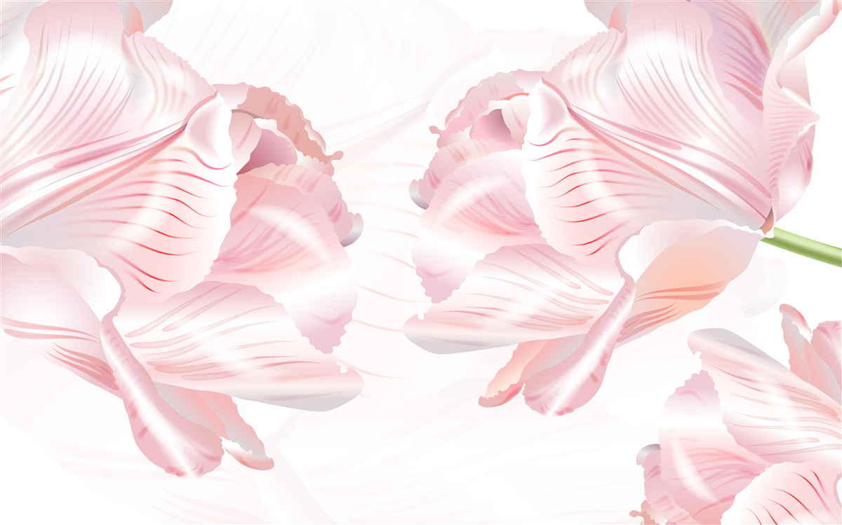 Papier peint des tulipes roses pour une ambiance romantique