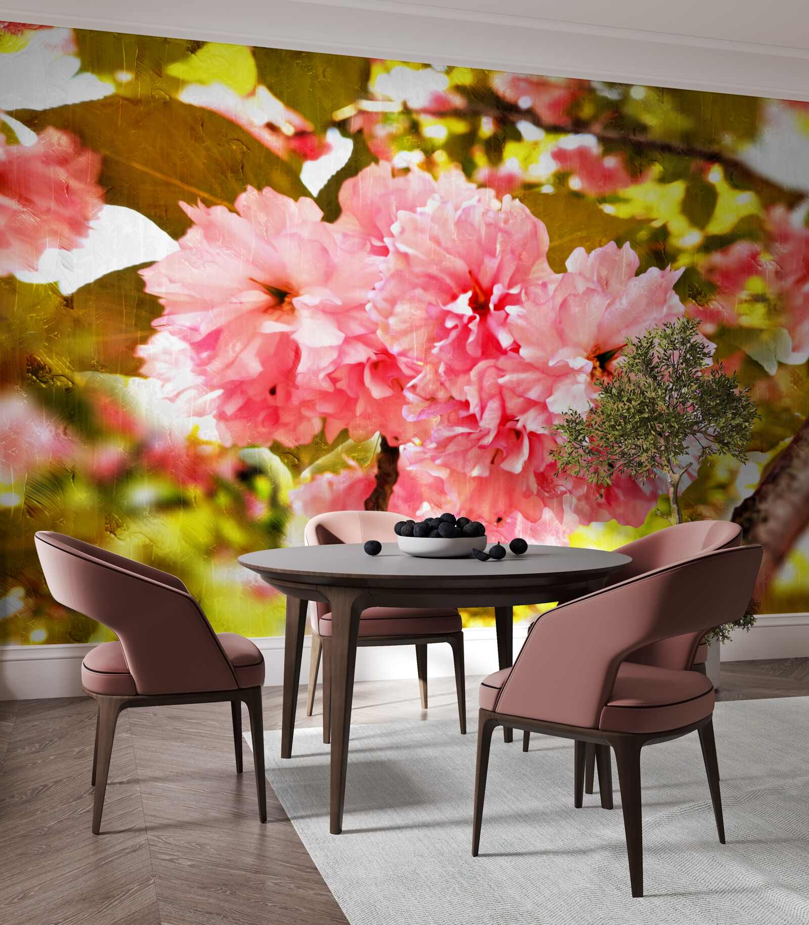 Papier peint kanzan sakura en pleine floraison