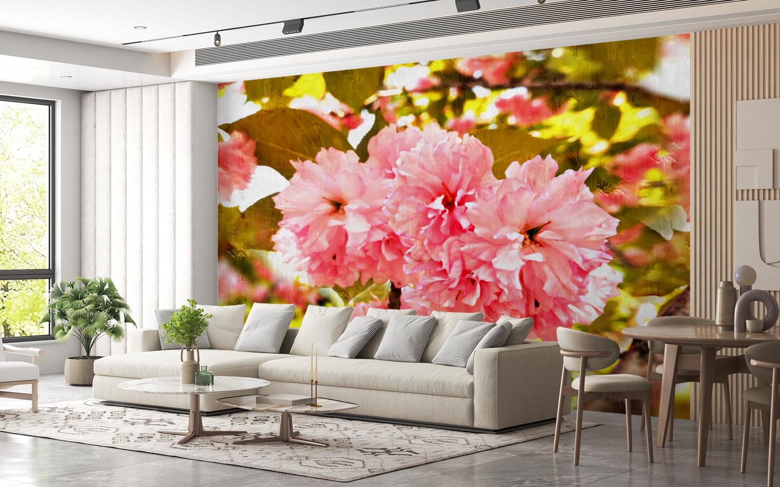 Papier peint kanzan sakura en pleine floraison