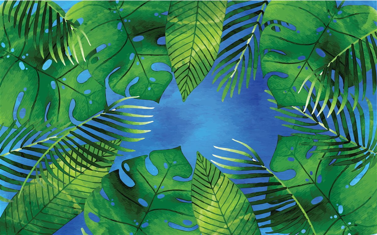 Papier peint les feuilles tropicales s'ouvrent sur un ciel bleu