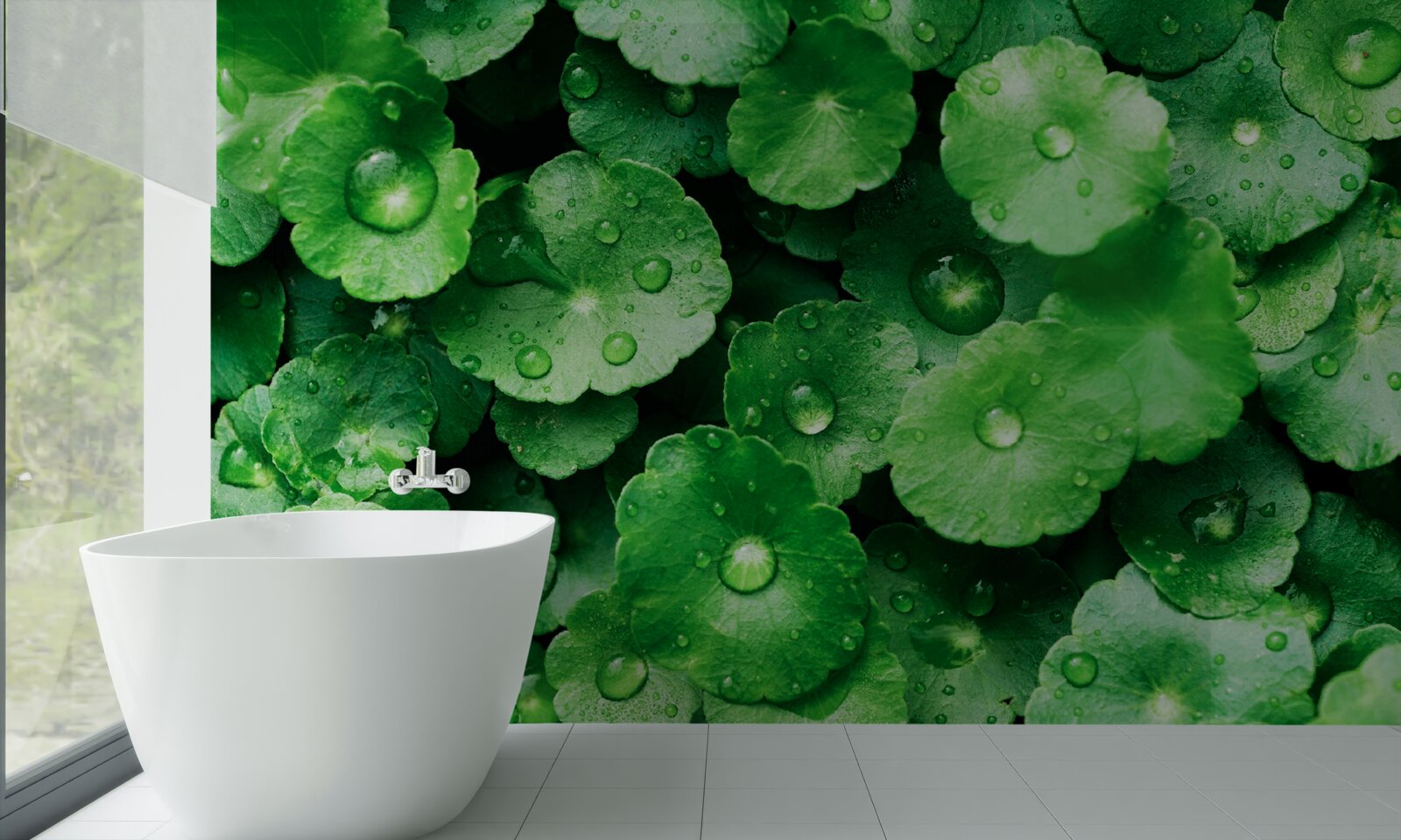 Papier peint feuilles vertes recouvertes de gouttes d'eau fraîches