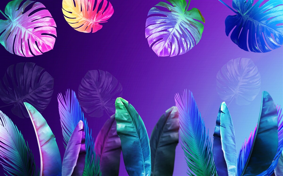 Papier peint Feuilles tropicales dans des tons dégradés