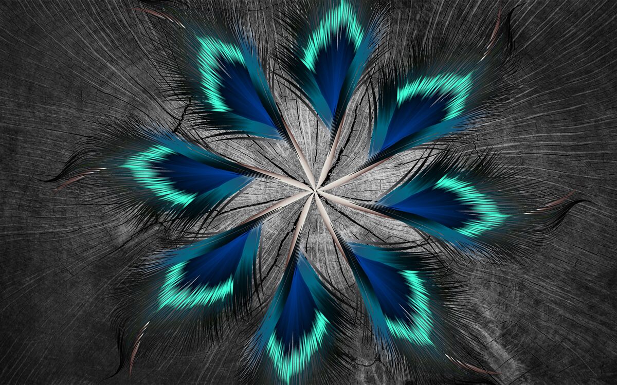 Papier peint plumes de paon en forme d'étoile avec motif abstrait