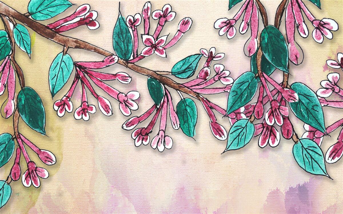 Papier peint branche de sakura fleurit et laisse un