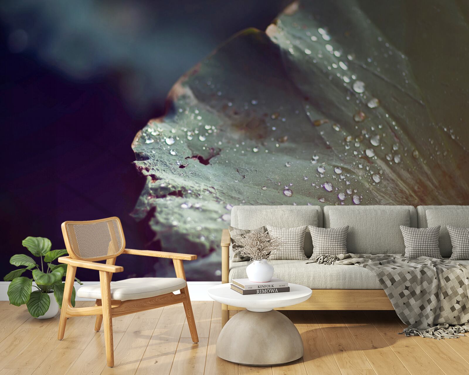 Papier peint grains de rosée précoce sur une feuille