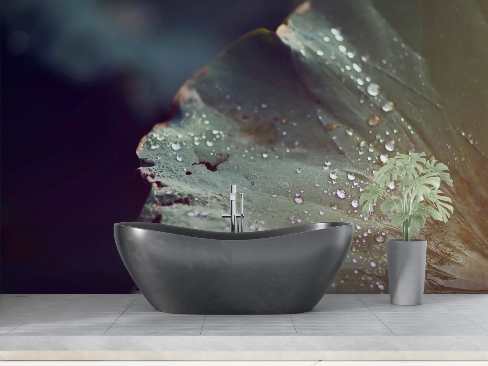 Papier peint grains de rosée précoce sur une feuille