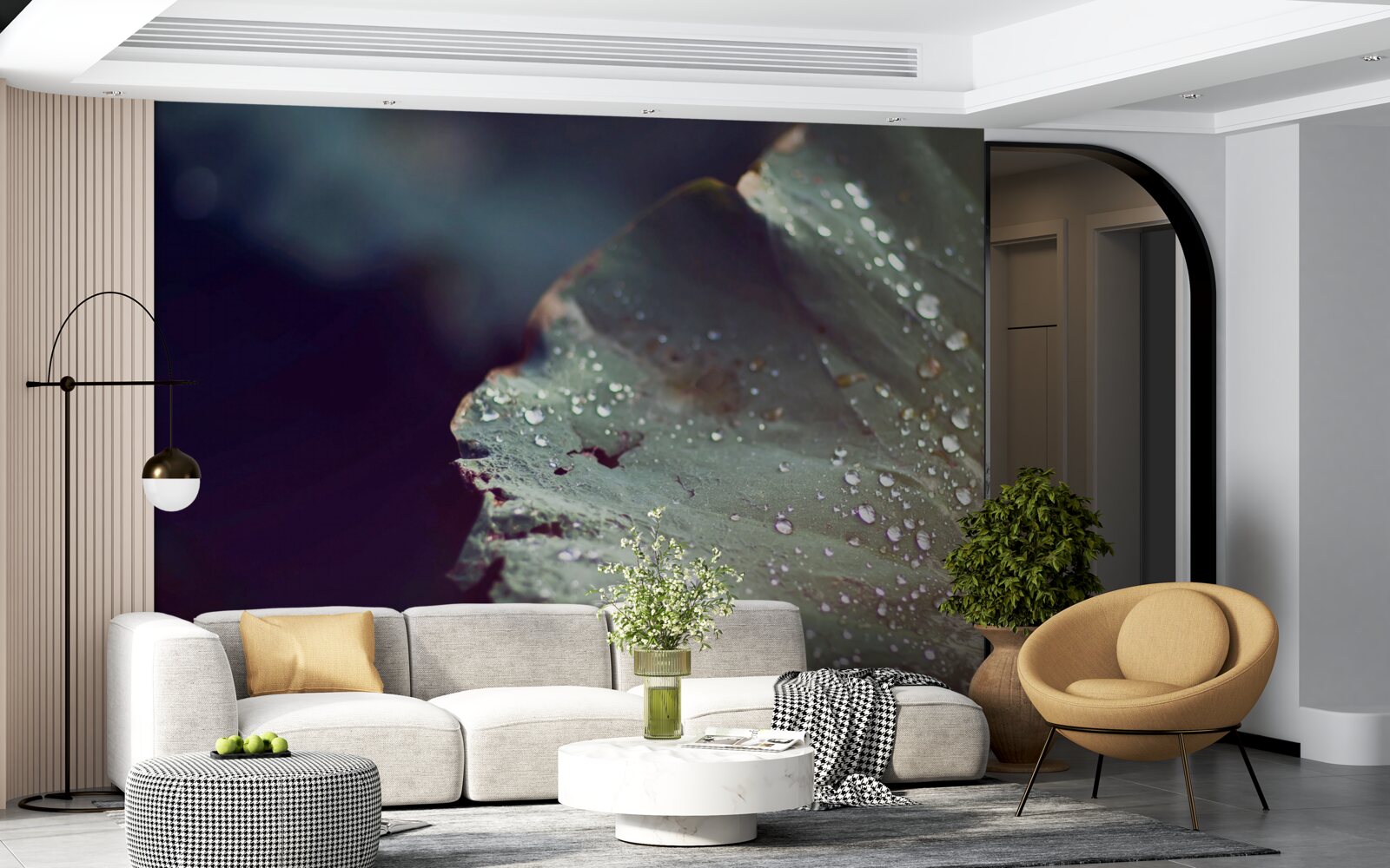 Papier peint grains de rosée précoce sur une feuille